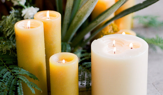 Single-Wick vs 3-Wick Candles: What’s the Difference?