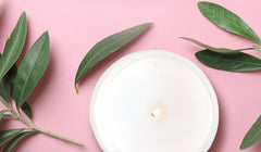 Best Summer Scented Candles for 2023