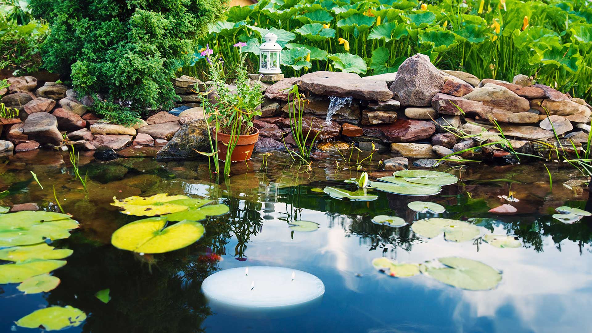 10" diameter floating candle lit, while floating in a pond.