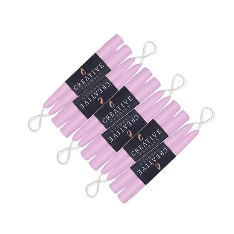 wisteria taper in 6 inch 12 pack on white background