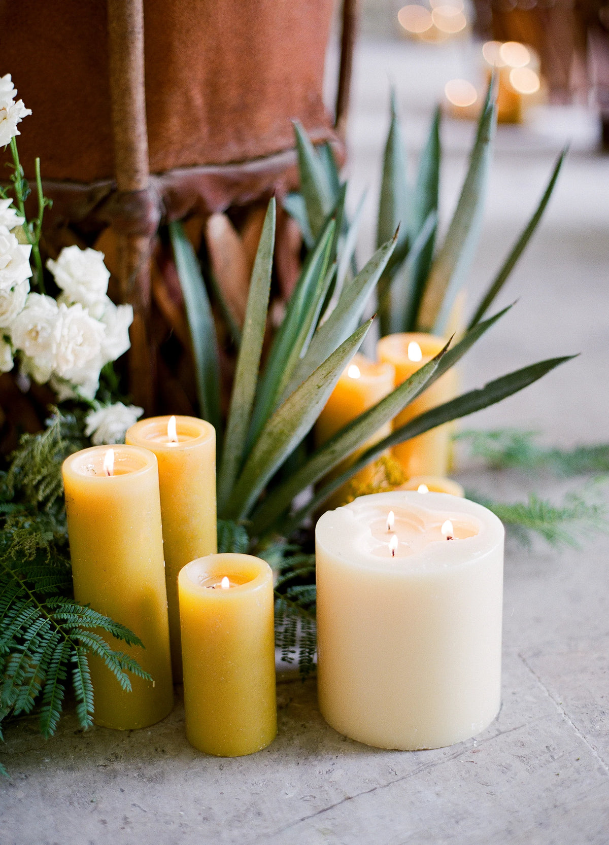 An aloe vera plant with white and honeysuckle pillar candles
