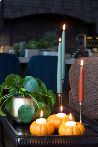 Little pumpkins with tea candles in side with taper candles on holders as well