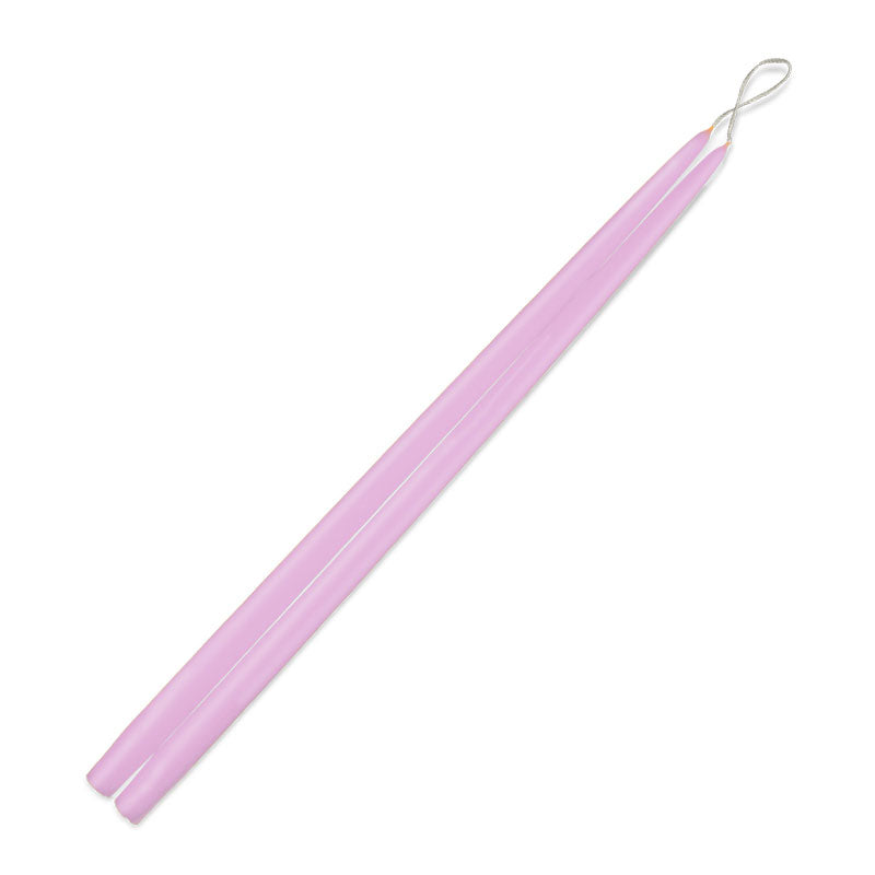 wisteria taper in 24 inch on white background